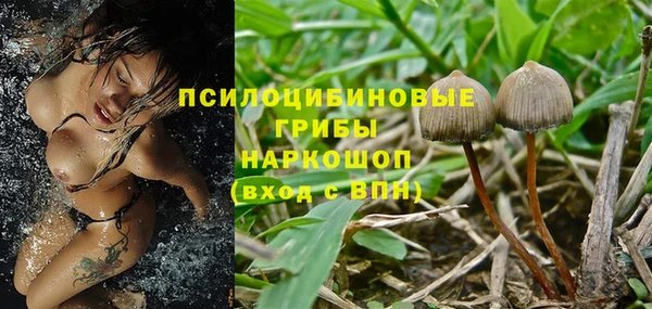 каннабис Баксан