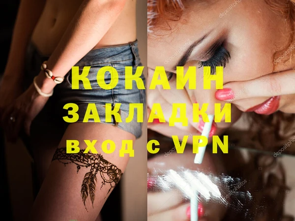 крисы Дмитровск