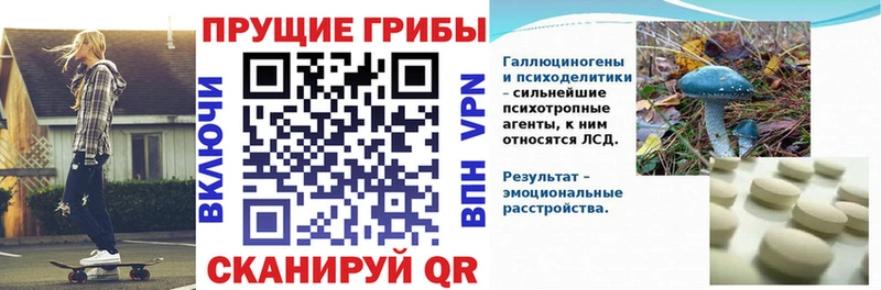 Галлюциногенные грибы Cubensis  Петухово 
